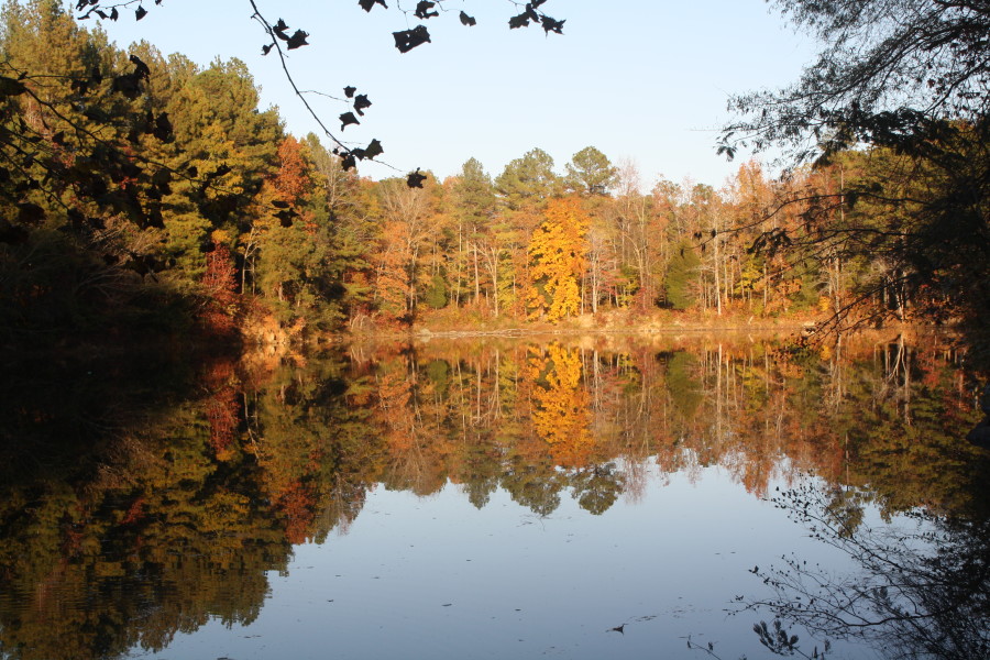 Eno Hiking Durham