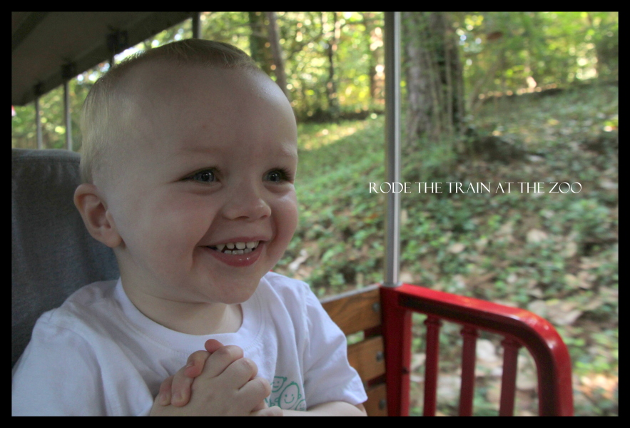 LIjah on the zoo train