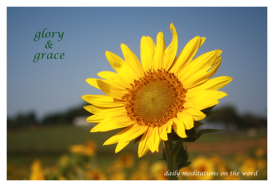 Glory and Grace Psalm 1