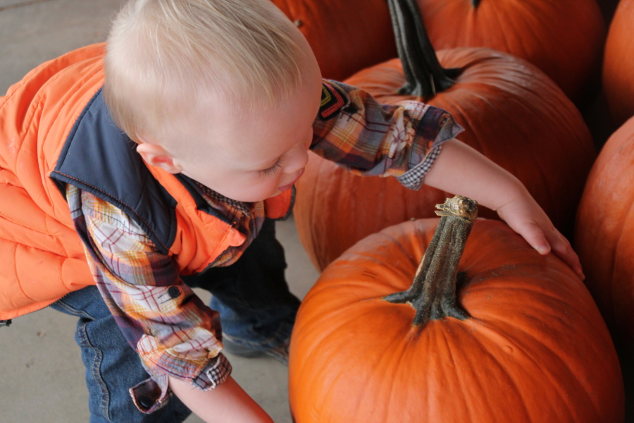 Elijah at Kinsey Family Farm