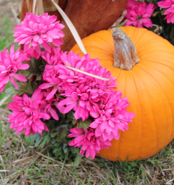 Pink and Orange