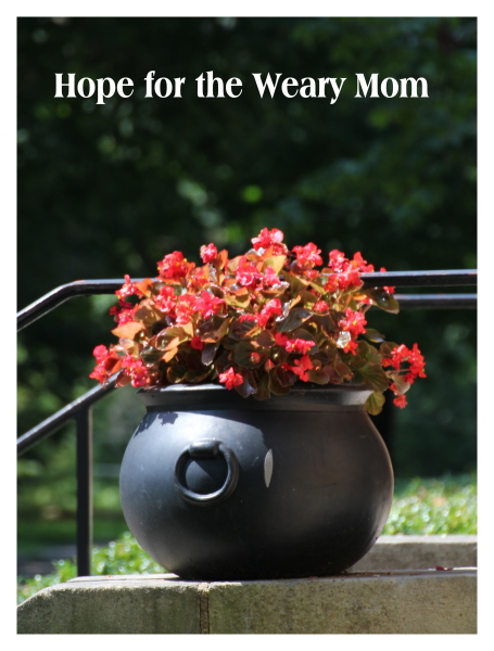 Hope for the Weary Mom