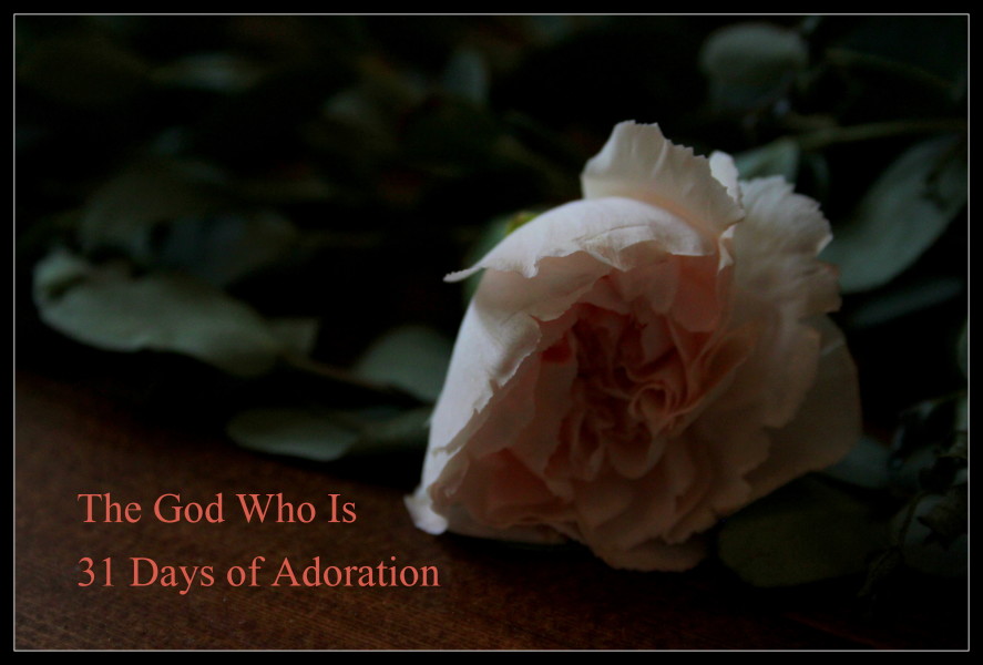 31 Days of Adoration