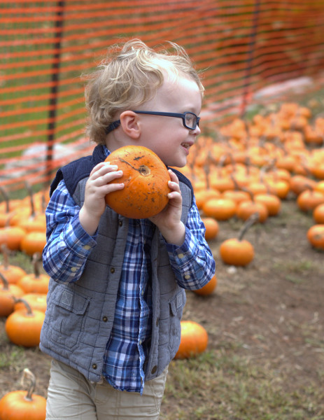 Pumpkin Holding