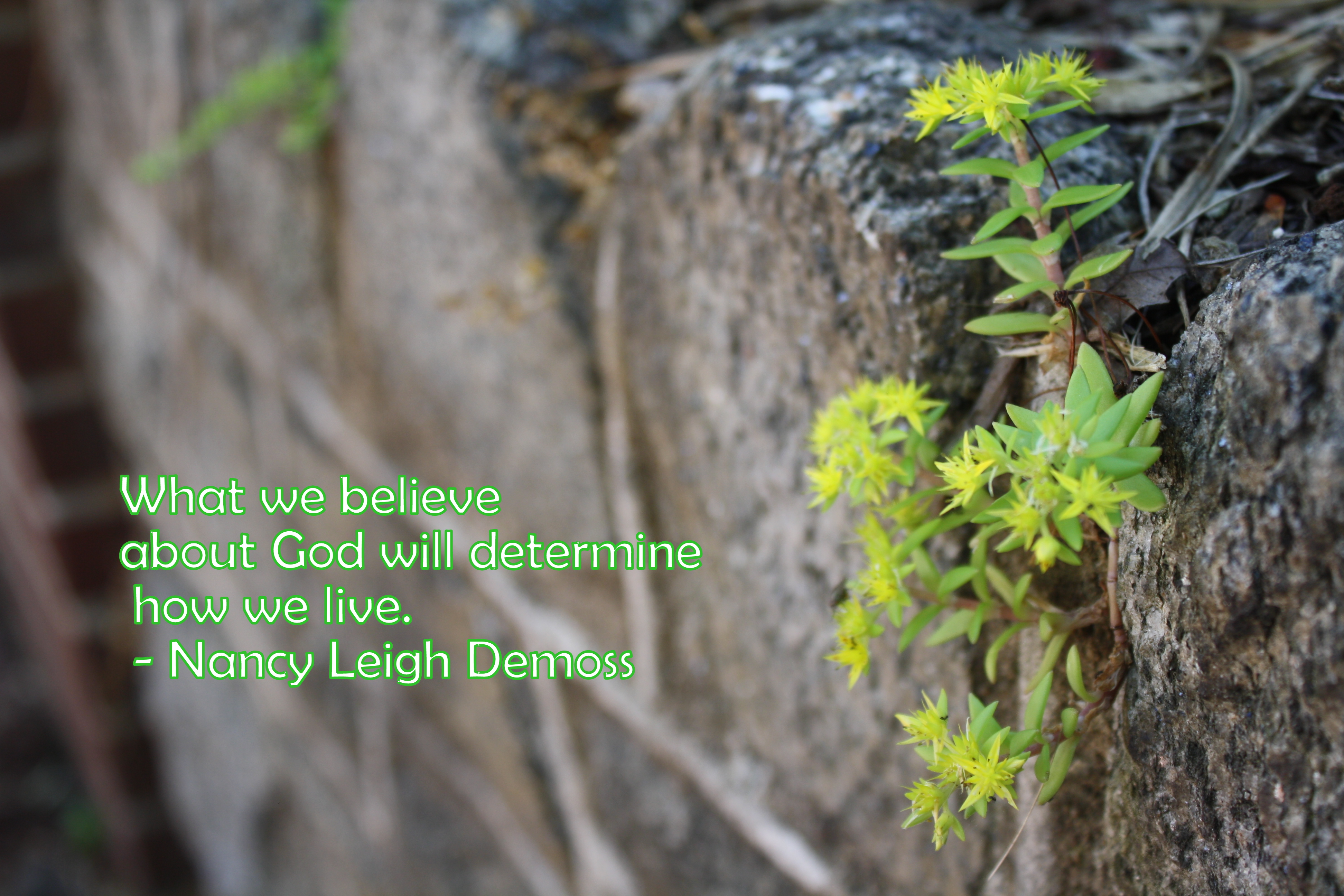 Believing God for Future Faith Because of Former Faith