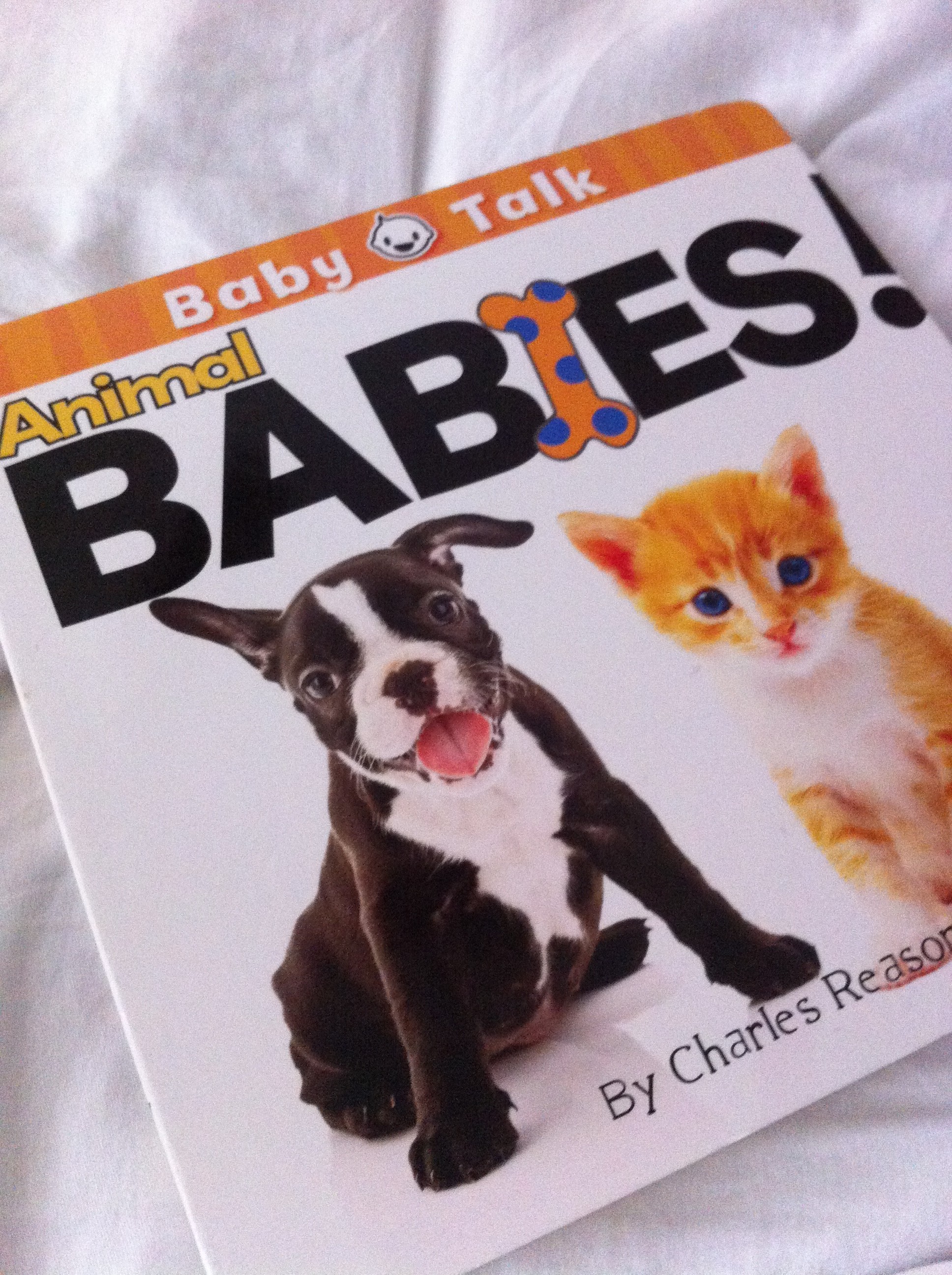 Kids r Readers 2: Animal Babies