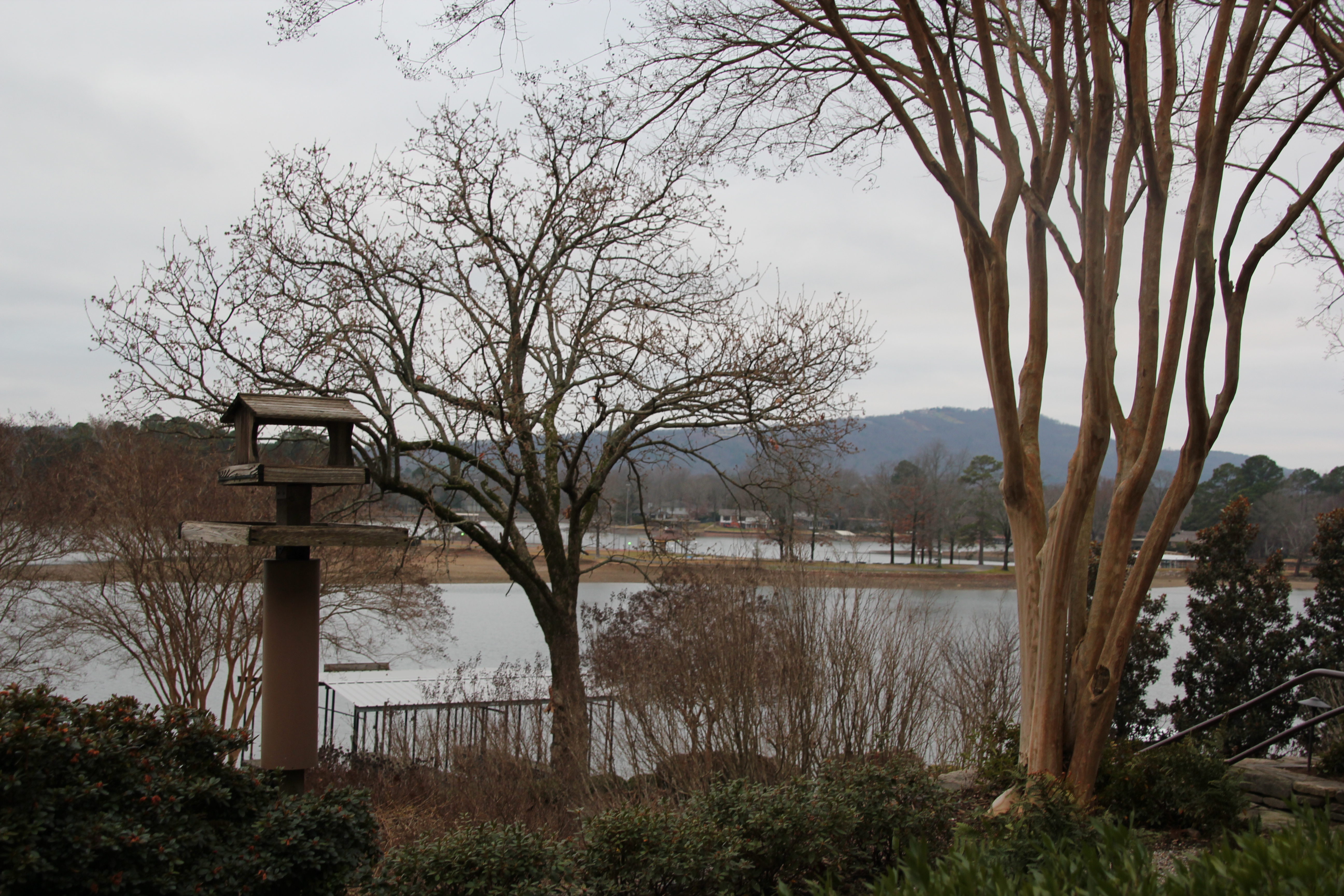 On Location: Lookout Point Lakeside Inn (Hot Springs, Arkansas)