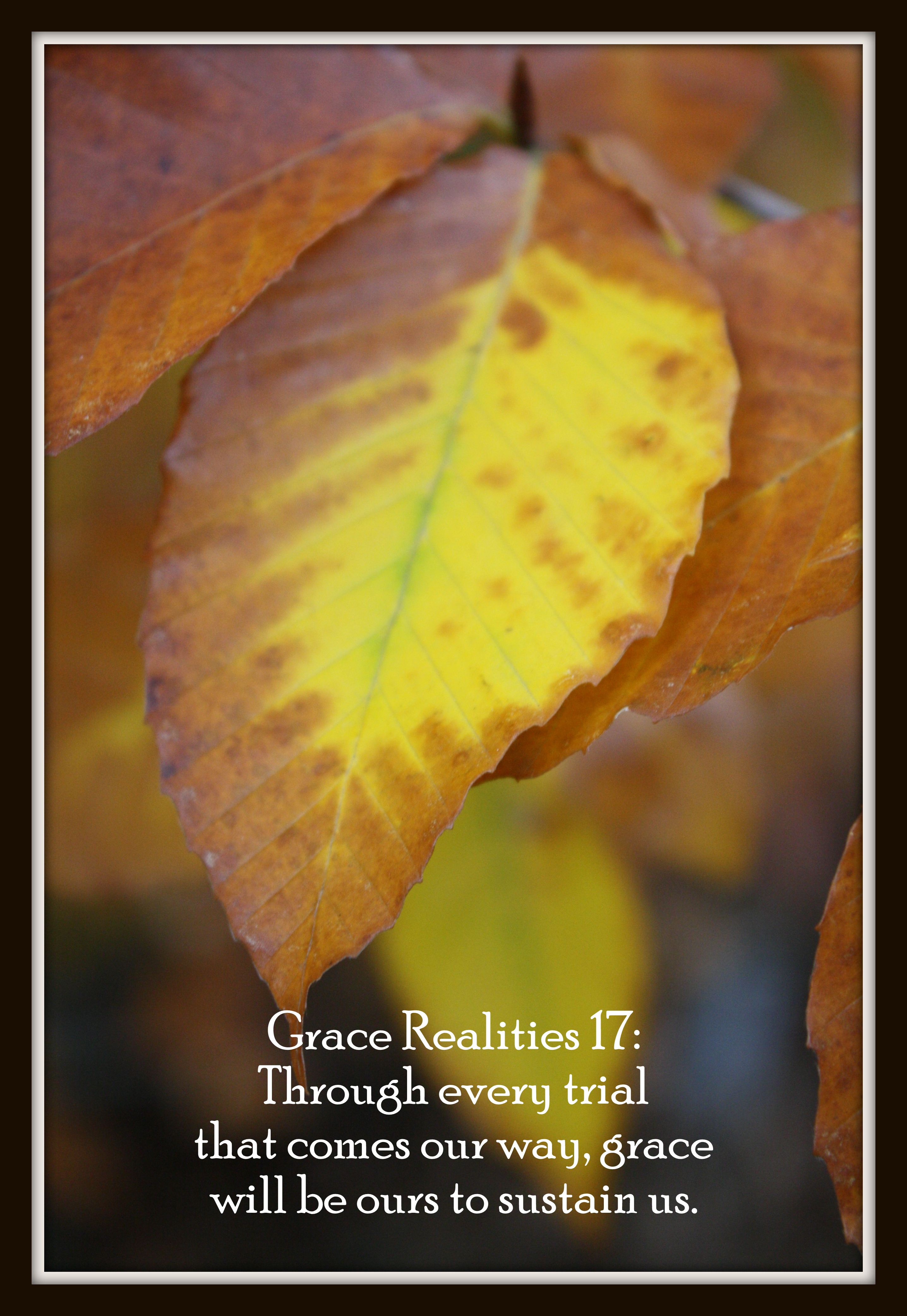 Grace Realities 17