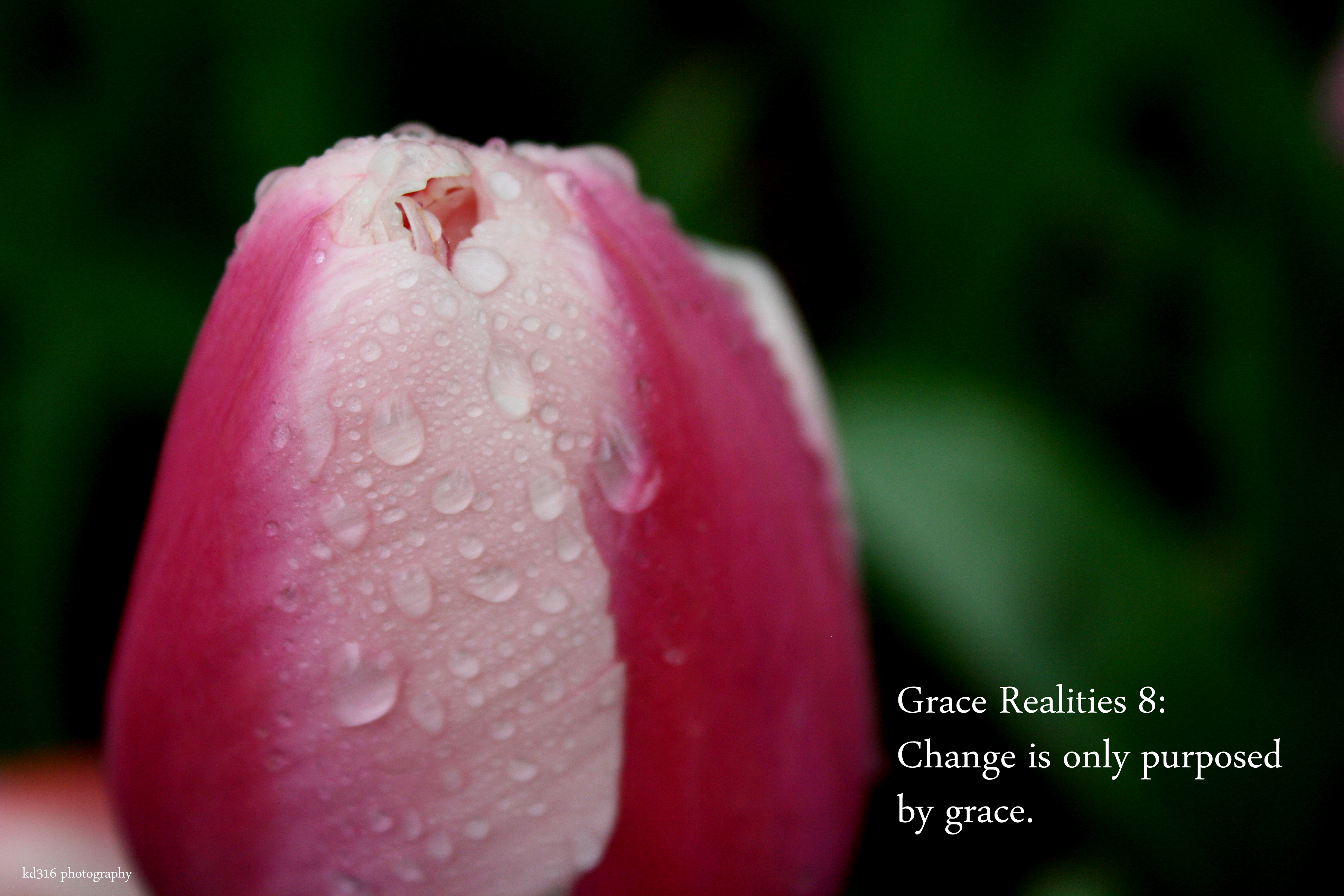 Grace Realities 8