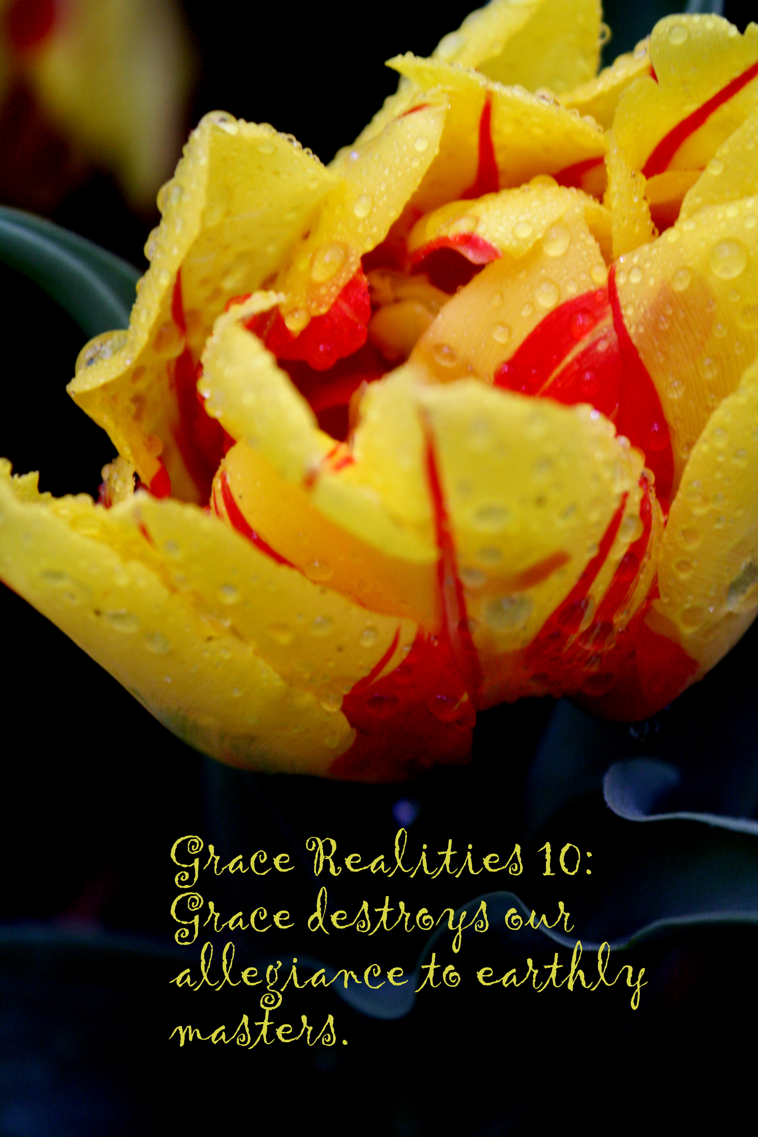 Grace Realities 10