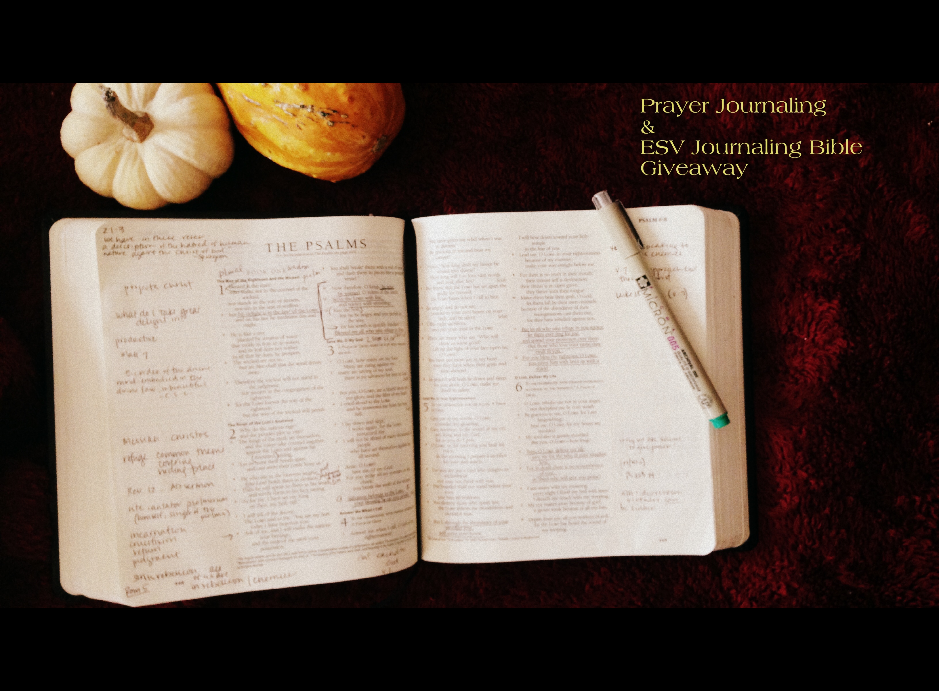 Prayer Journaling in Your Bible (ESV Journaling Bible Giveaway)