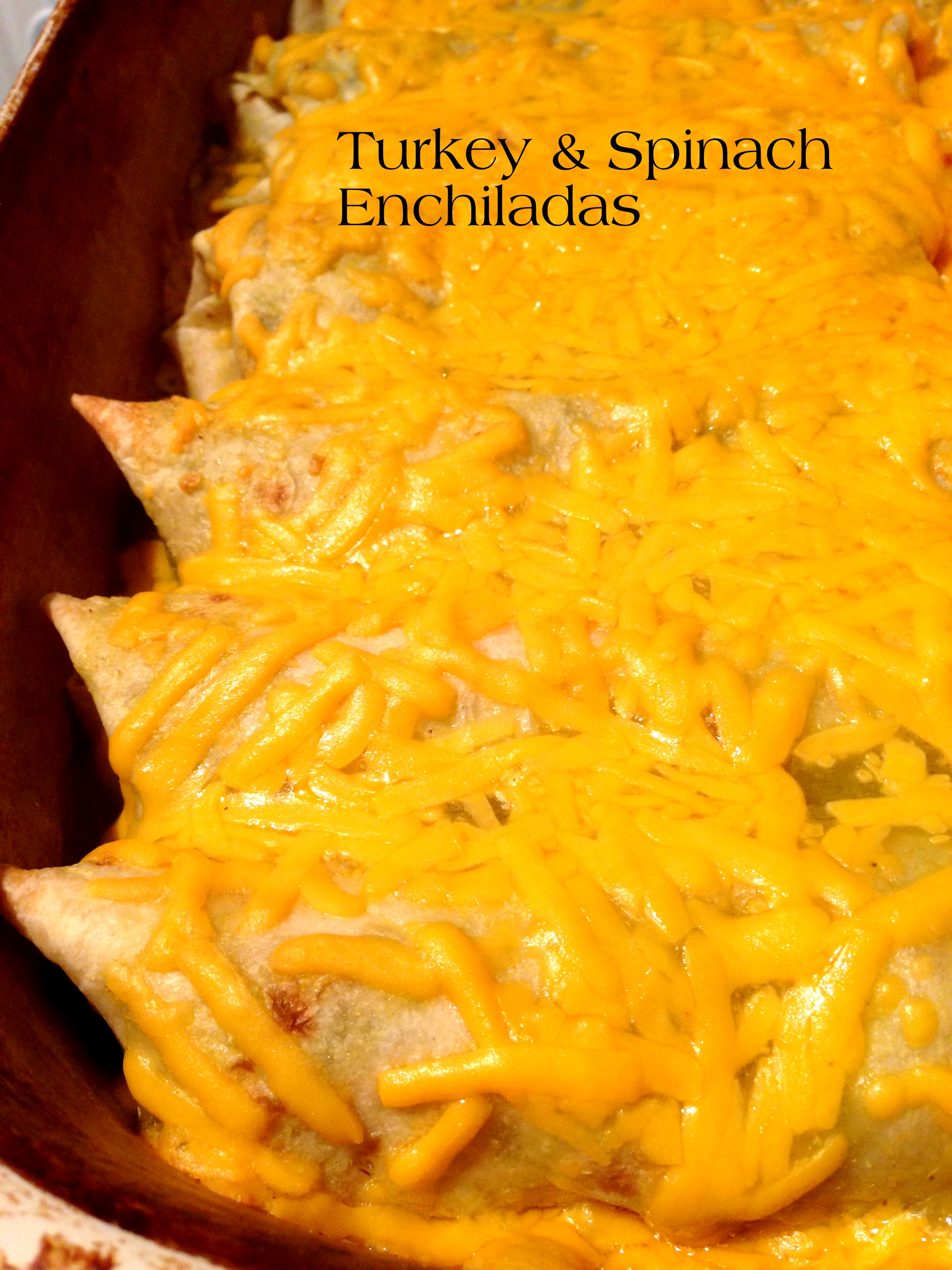 Creamy Turkey and Spinach Enchiladas