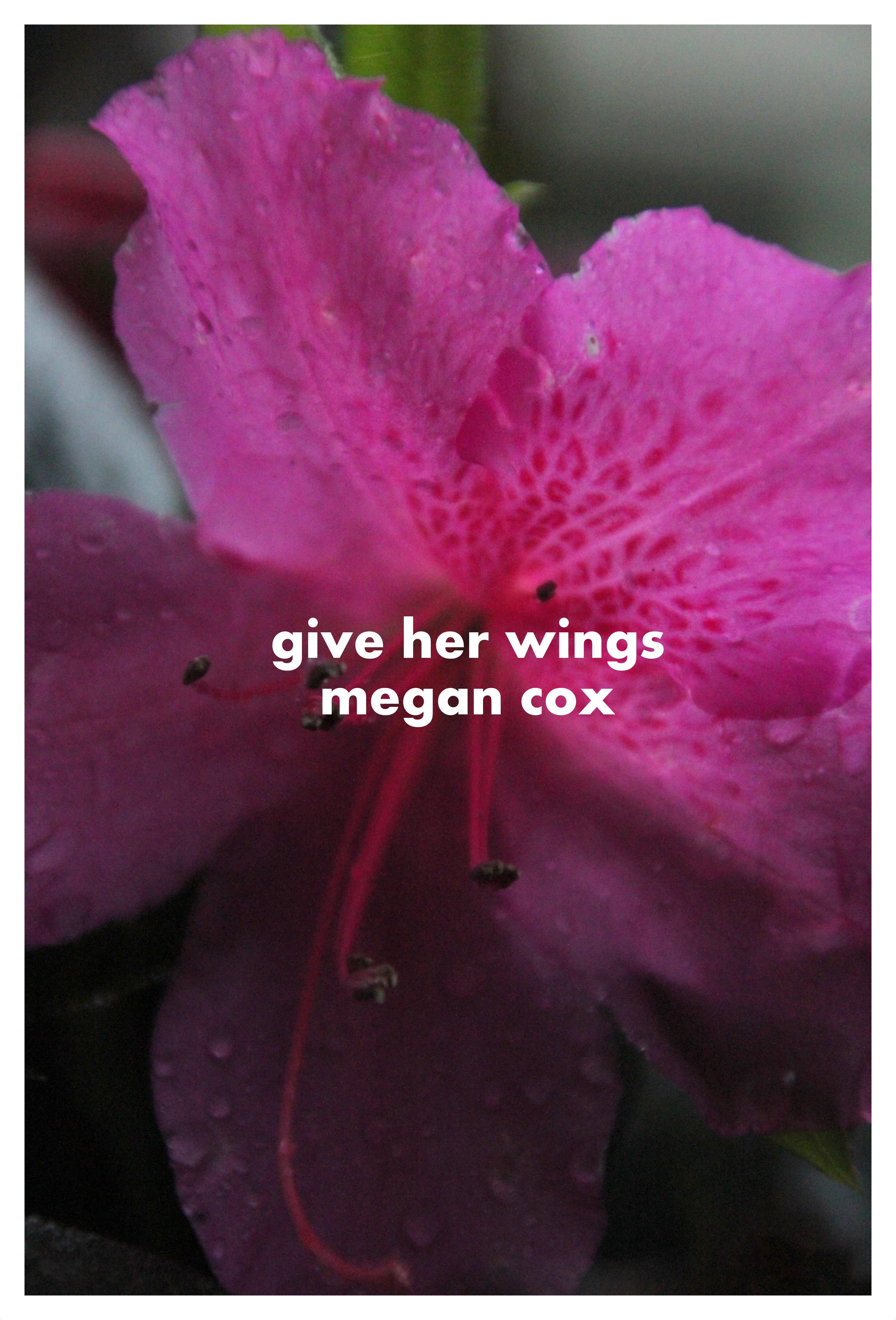 Read This: Give Her Wings