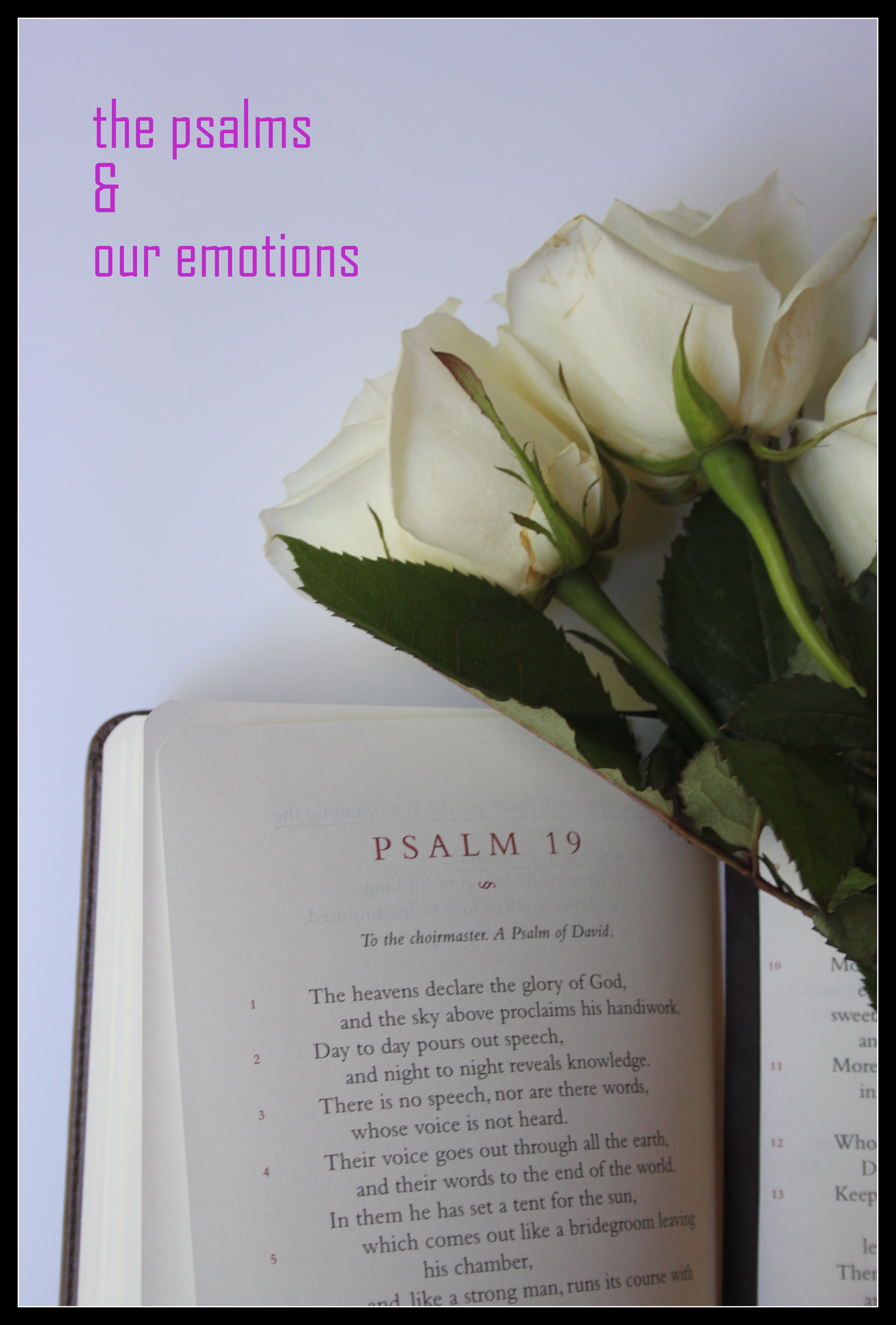 the psalms and our emotions