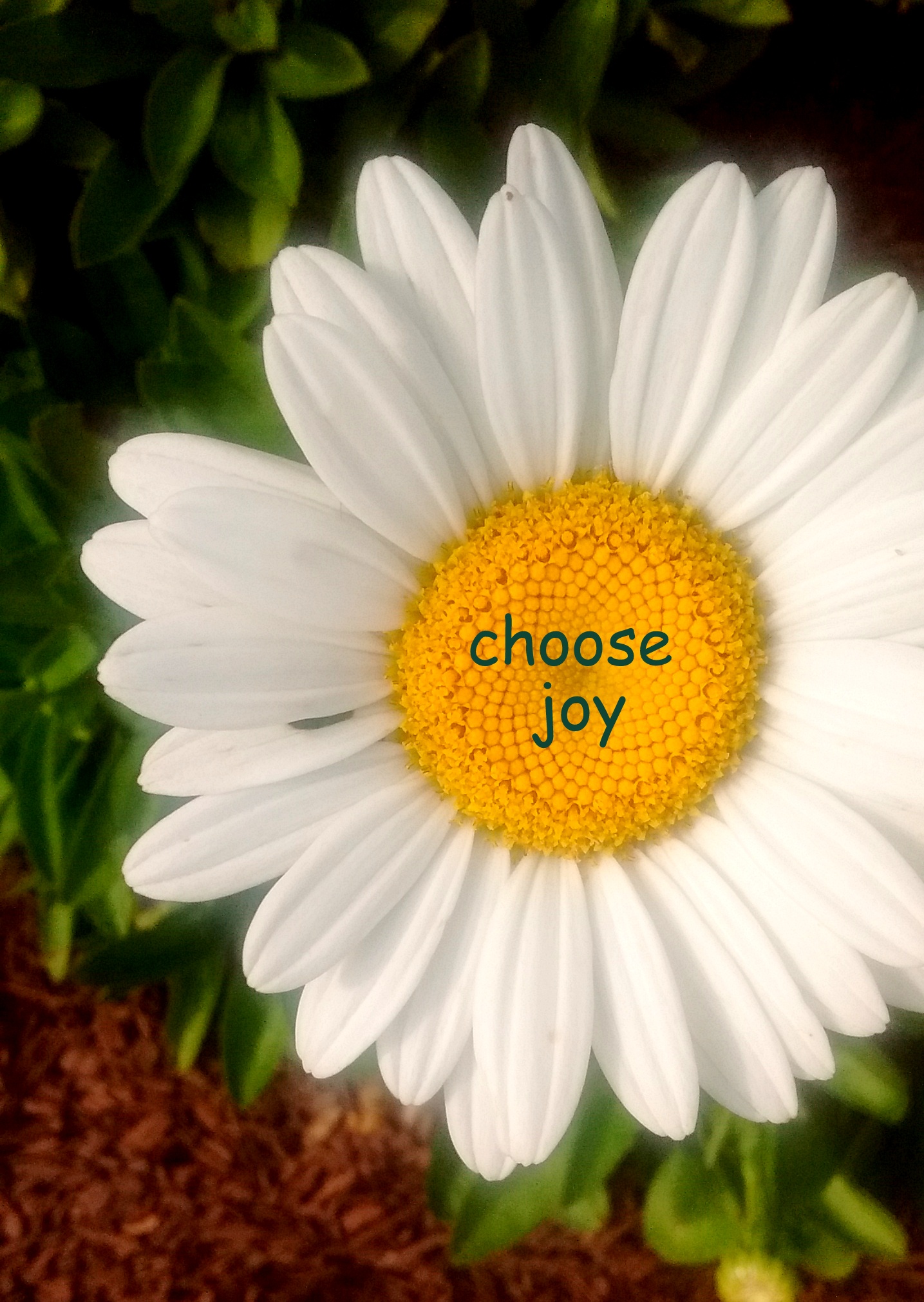 Choosing Joy